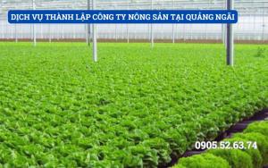 DỊCH VỤ THÀNH LẬP CÔNG TY NÔNG SẢN TẠI QUẢNG NGÃI