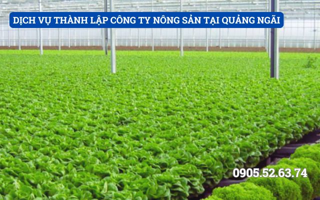 DỊCH VỤ THÀNH LẬP CÔNG TY NÔNG SẢN TẠI QUẢNG NGÃI